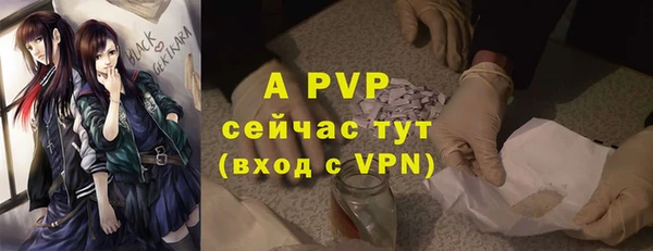 дживик Нея